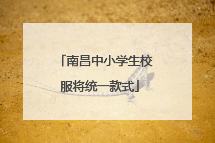 南昌中小学生校服将统一款式