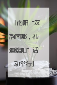 南阳“汉韵南都，礼遇端阳”活动举行