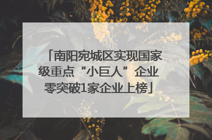 南阳宛城区实现国家级重点“小巨人”企业零突破1家企业上榜