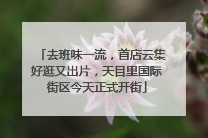 去班味一流，首店云集好逛又出片，天目里国际街区今天正式开街