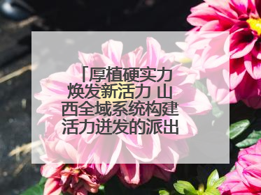 厚植硬实力 焕发新活力 山西全域系统构建活力迸发的派出所工作新生态