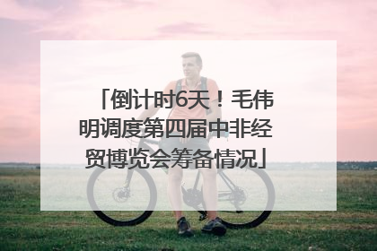 倒计时6天！毛伟明调度第四届中非经贸博览会筹备情况