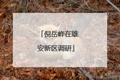 倪岳峰在雄安新区调研