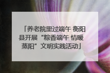 养老院里过端午 衡阳县开展“粽香端午 情暖蒸阳”文明实践活动