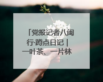 党报记者八闽行·蹲点日记｜一叶茶、一片林、一座厂的振兴接力