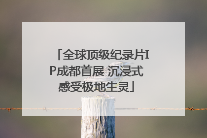 全球顶级纪录片IP成都首展 沉浸式感受极地生灵