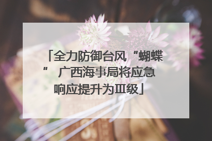 全力防御台风“蝴蝶” 广西海事局将应急响应提升为Ⅲ级