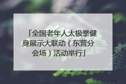 全国老年人太极拳健身展示大联动（东营分会场）活动举行