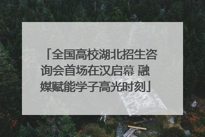 全国高校湖北招生咨询会首场在汉启幕 融媒赋能学子高光时刻