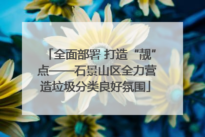 全面部署 打造“靓” 点——石景山区全力营造垃圾分类良好氛围