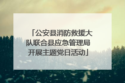 公安县消防救援大队联合县应急管理局开展主题党日活动