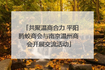 共聚温商合力 平阳腾蛟商会与南京温州商会开展交流活动