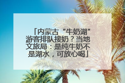 内蒙古“牛奶湖”游客排队接奶？当地文旅局：是纯牛奶不是湖水，可放心喝