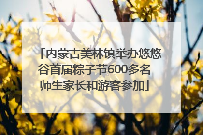内蒙古美林镇举办悠悠谷首届粽子节600多名师生家长和游客参加