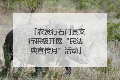 农发行石门县支行积极开展“民法典宣传月”活动