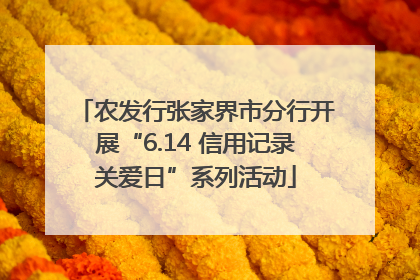 农发行张家界市分行开展“6.14 信用记录关爱日”系列活动