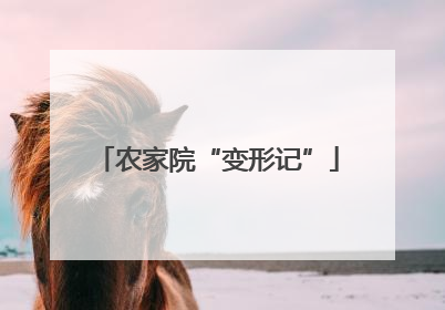 农家院“变形记”