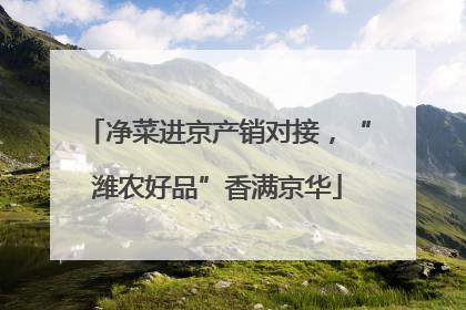 净菜进京产销对接，“潍农好品”香满京华