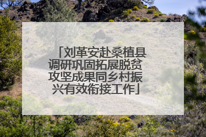 刘革安赴桑植县调研巩固拓展脱贫攻坚成果同乡村振兴有效衔接工作