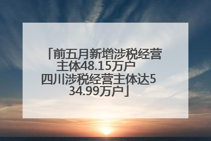 前五月新增涉税经营主体48.15万户 四川涉税经营主体达534.99万户