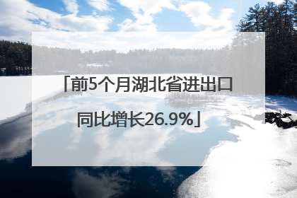 前5个月湖北省进出口同比增长26.9%