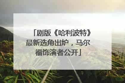 剧版《哈利波特》最新选角出炉，马尔福饰演者公开