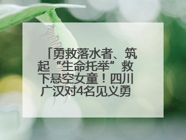勇救落水者、筑起“生命托举”救下悬空女童！四川广汉对4名见义勇为人员进行表彰