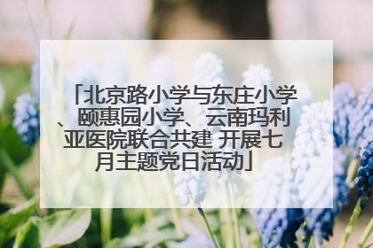 北京路小学与东庄小学、颐惠园小学、云南玛利亚医院联合共建 开展七月主题党日活动