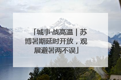 城事·战高温｜苏博暑期延时开放，观展避暑两不误
