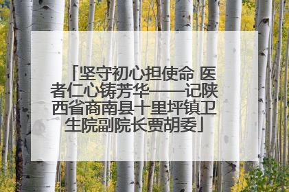 坚守初心担使命 医者仁心铸芳华——记陕西省商南县十里坪镇卫生院副院长贾胡委