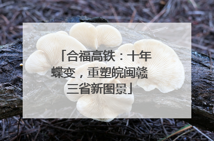 合福高铁：十年蝶变，重塑皖闽赣三省新图景