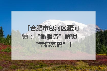 合肥市包河区淝河镇：“微服务”解锁“幸福密码”
