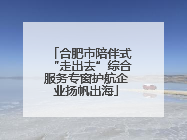 合肥市陪伴式“走出去”综合服务专窗护航企业扬帆出海