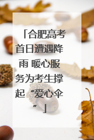 合肥高考首日遭遇降雨 暖心服务为考生撑起“爱心伞”