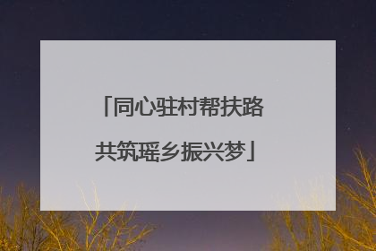 同心驻村帮扶路 共筑瑶乡振兴梦