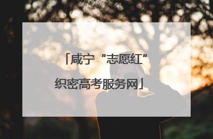 咸宁“志愿红”织密高考服务网