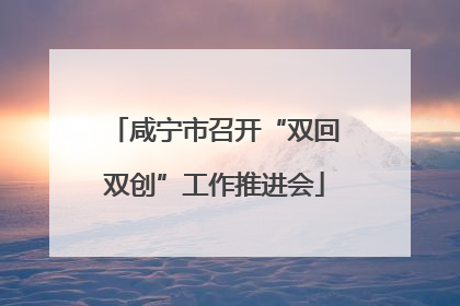 咸宁市召开“双回双创”工作推进会
