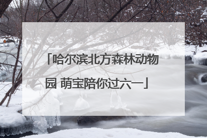 哈尔滨北方森林动物园 萌宝陪你过六一