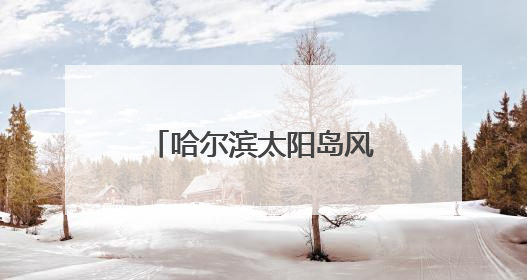 哈尔滨太阳岛风景区“阳光彩虹桥”带游客“漫步彩虹之上”