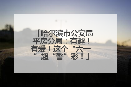哈尔滨市公安局平房分局：有趣！有爱！这个“六一”超“警”彩！