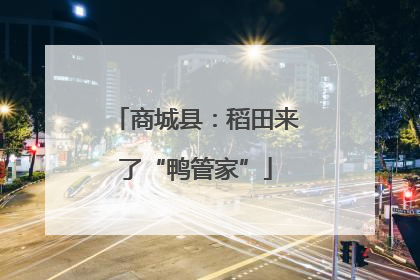 商城县：稻田来了“鸭管家”