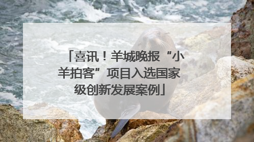 喜讯！羊城晚报“小羊拍客”项目入选国家级创新发展案例