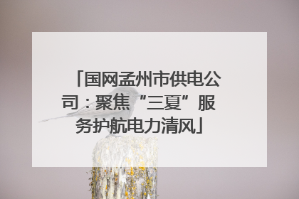 国网孟州市供电公司：聚焦“三夏”服务护航电力清风