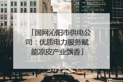 国网沁阳市供电公司：优质电力服务赋能凉皮产业飘香