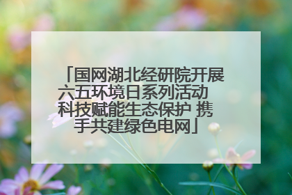 国网湖北经研院开展六五环境日系列活动 科技赋能生态保护 携手共建绿色电网