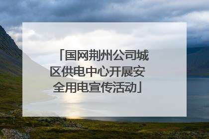 国网荆州公司城区供电中心开展安全用电宣传活动