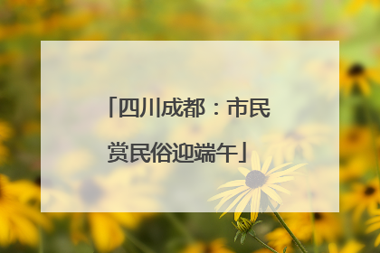 四川成都：市民赏民俗迎端午