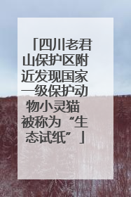 四川老君山保护区附近发现国家一级保护动物小灵猫 被称为“生态试纸”