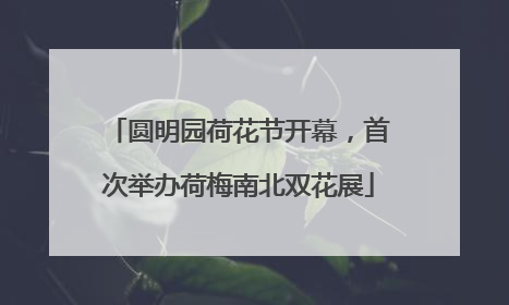 圆明园荷花节开幕，首次举办荷梅南北双花展