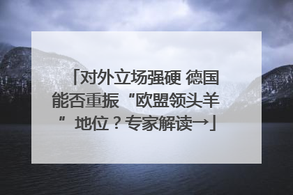 对外立场强硬 德国能否重振“欧盟领头羊”地位？专家解读→